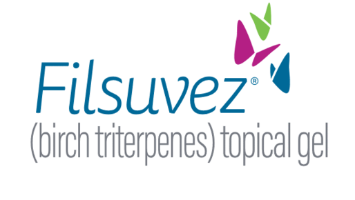 Filsuvez Logo